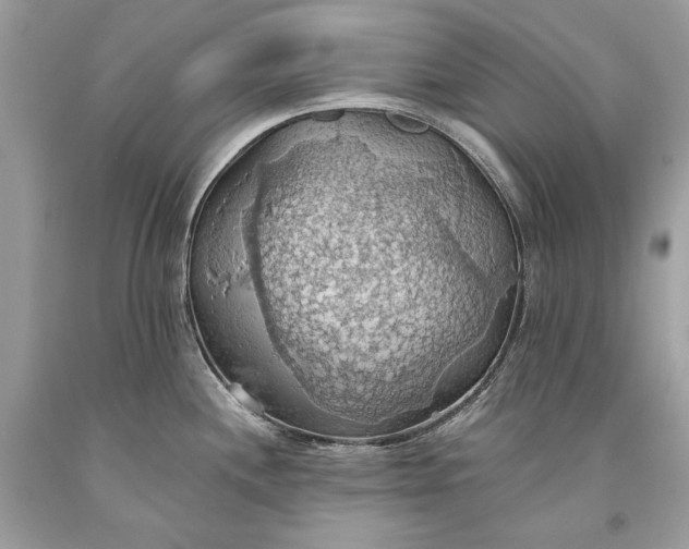 X0000093521244200710261212