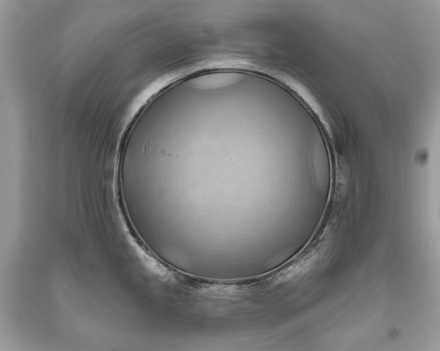 X0000093521245200710261212