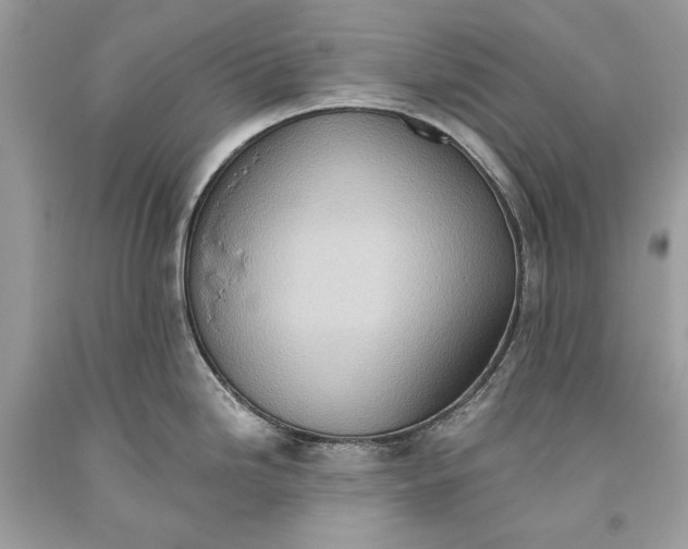 X0000093521246200710261212