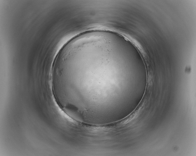 X0000093521247200710261212