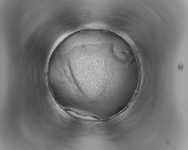 X0000093521248200710261212