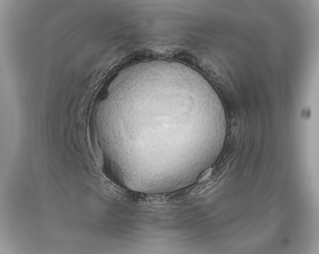 X0000093521249200710261212