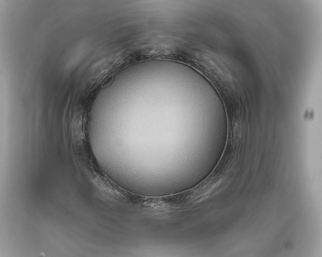 X0000093521250200710261212