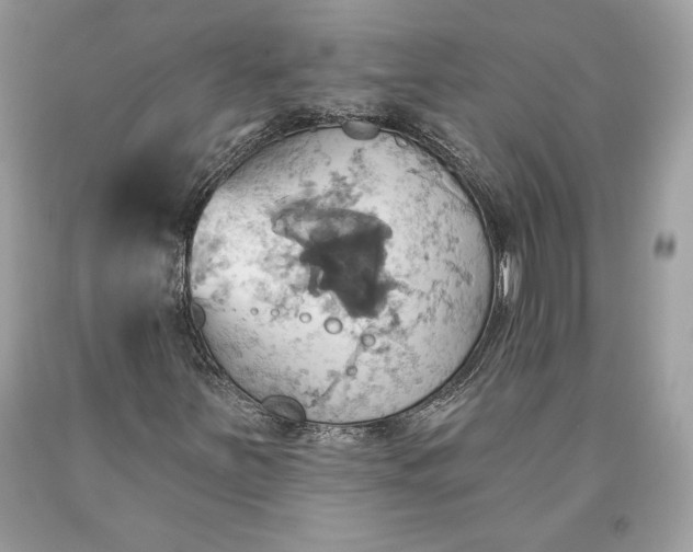 X0000093521251200710261212