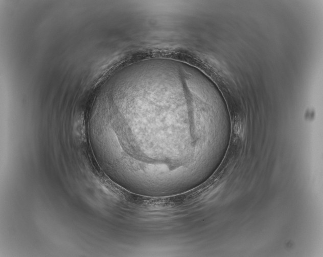 X0000093521252200710261212