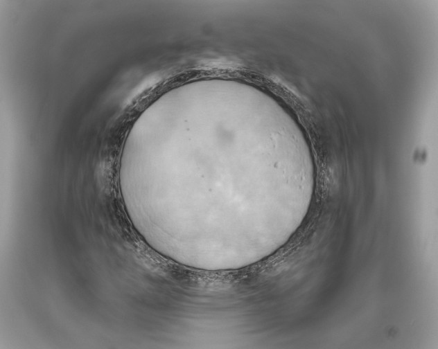 X0000093521254200710261212