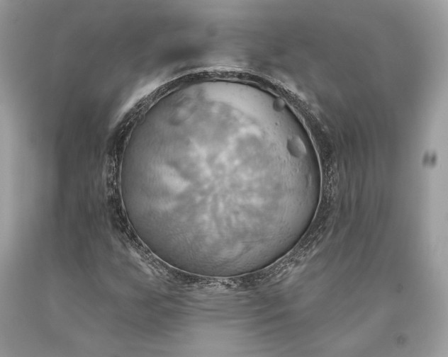 X0000093521255200710261212