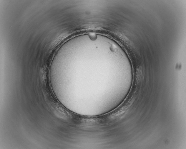 X0000093521257200710261212