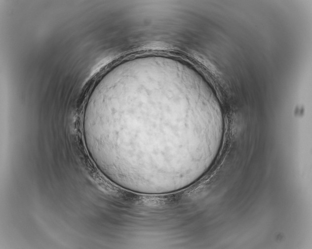 X0000093521258200710261212