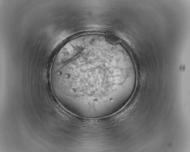 X0000093521259200710261212