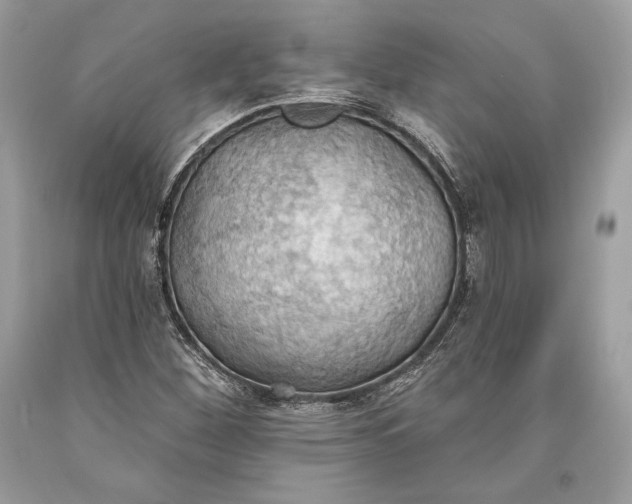 X0000093521260200710261212