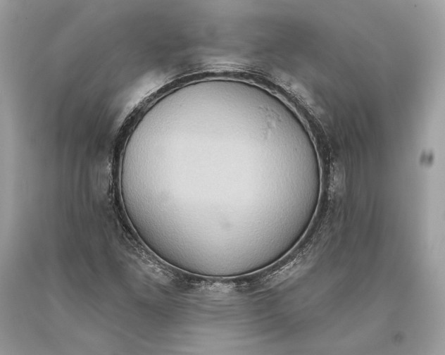 X0000093521261200710261212