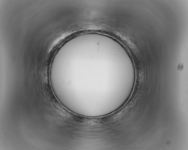 X0000093521262200710261212