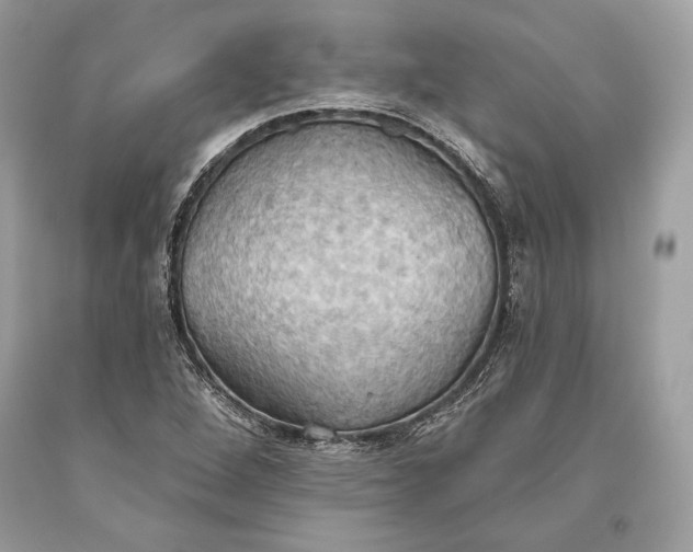 X0000093521264200710261212