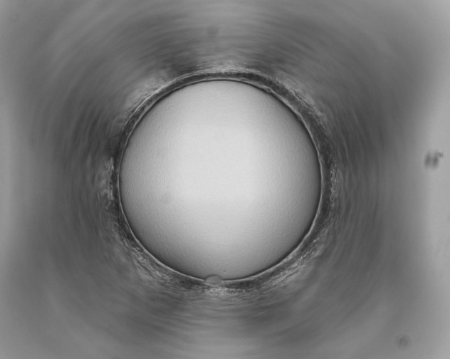 X0000093521265200710261212