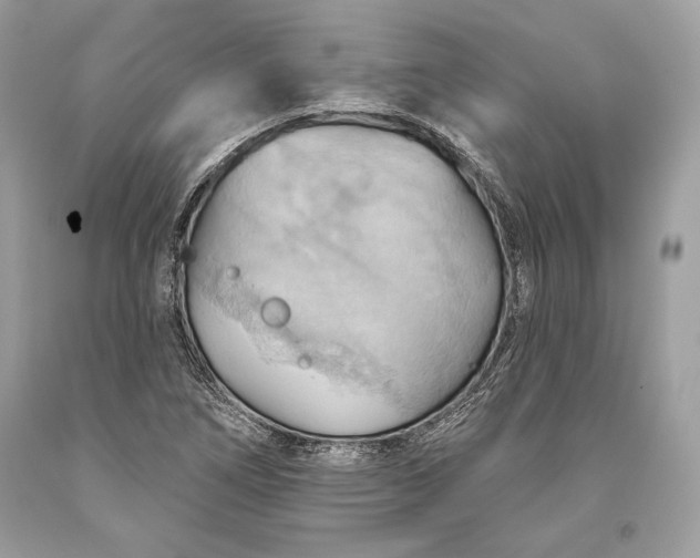 X0000093521266200710261212