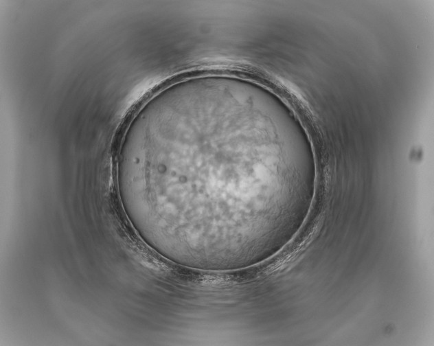 X0000093521267200710261211