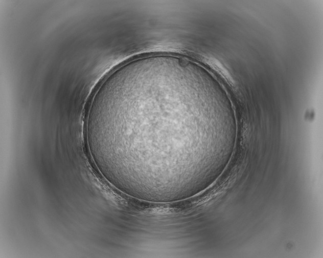 X0000093521268200710261211