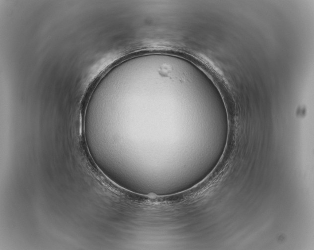 X0000093521269200710261211