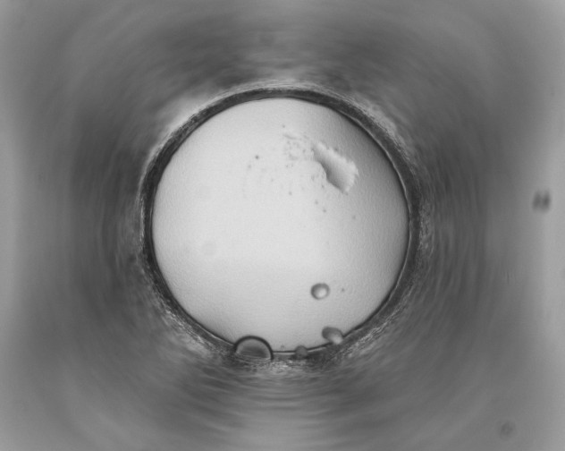 X0000093521270200710261211