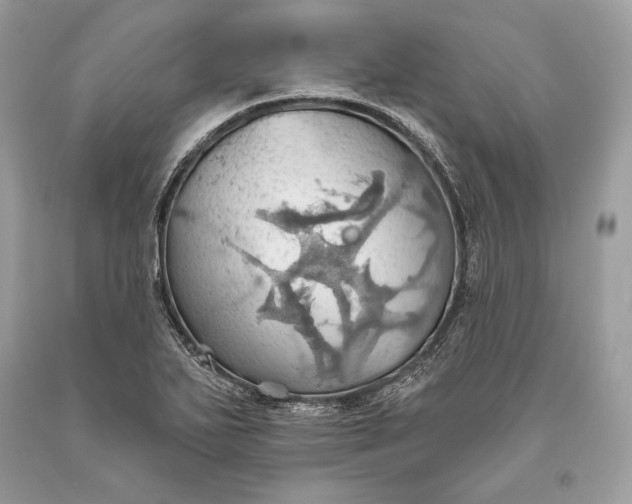 X0000093521271200710261211