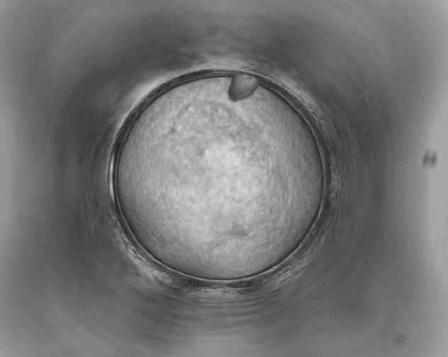 X0000093521272200710261211