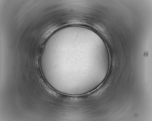 X0000093521273200710261211