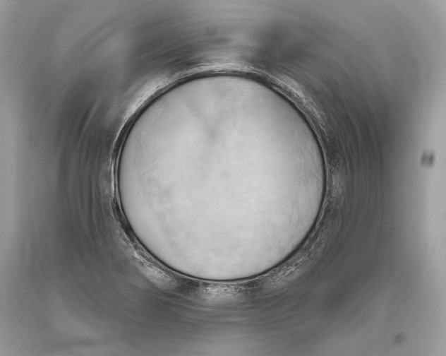 X0000093521274200710261211