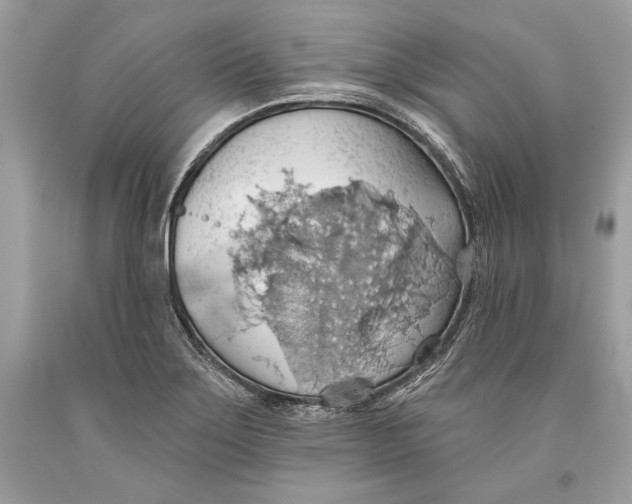 X0000093521275200710261211