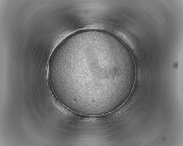 X0000093521276200710261211