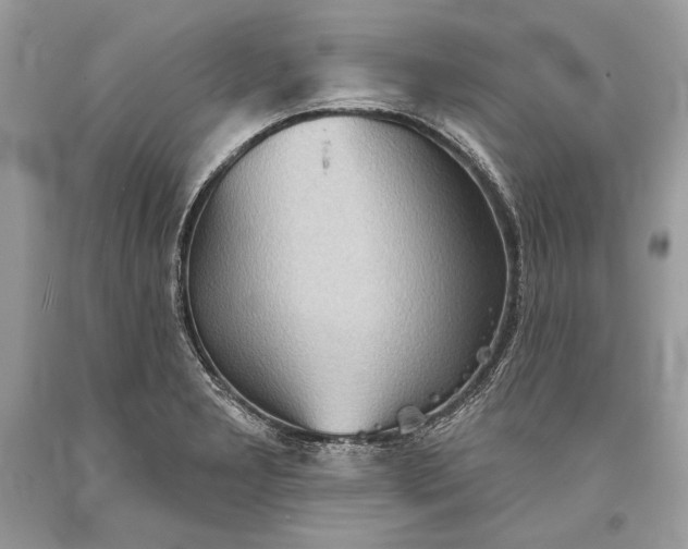 X0000093521277200710261211