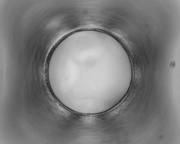 X0000093521278200710261211