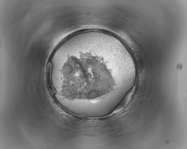 X0000093521279200710261211