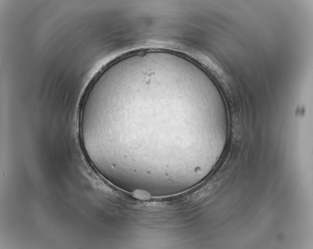 X0000093521280200710261211