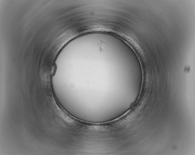 X0000093521281200710261211