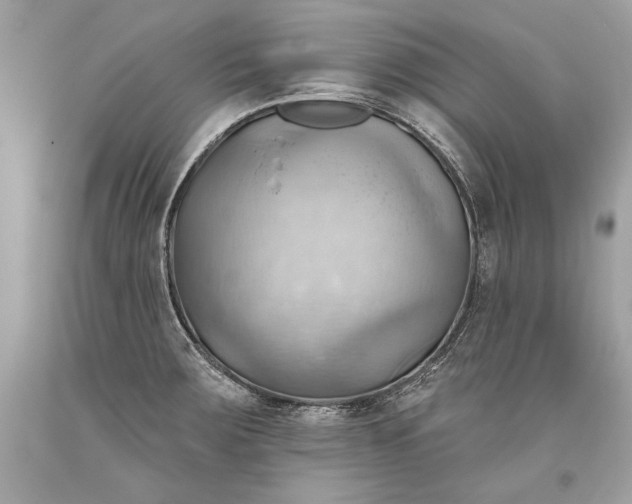 X0000093521283200710261211