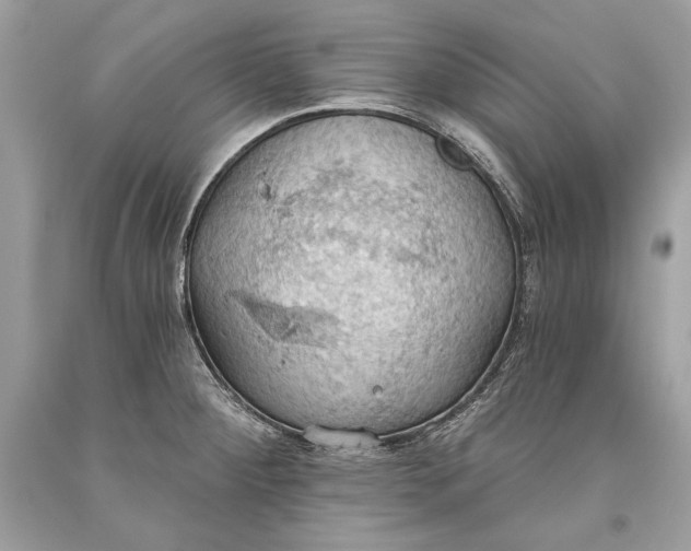 X0000093521284200710261211