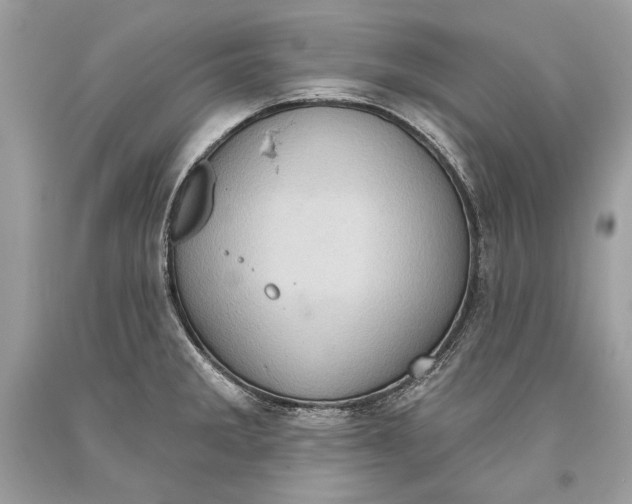 X0000093521285200710261211