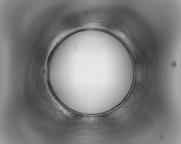 X0000093521286200710261211