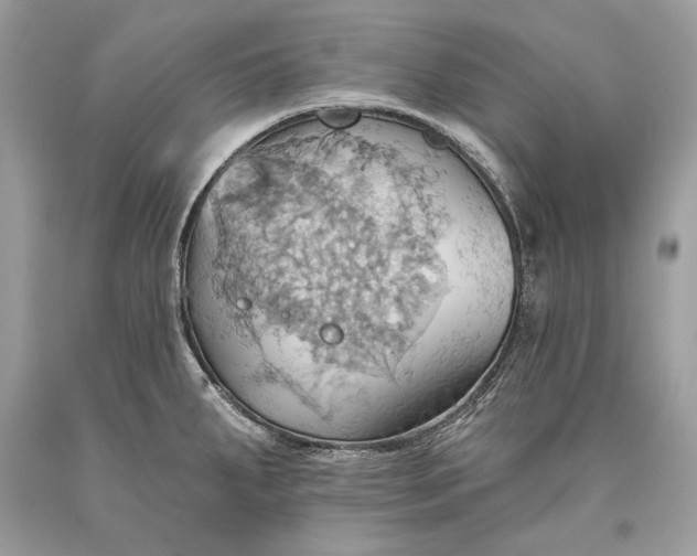 X0000093521287200710261211