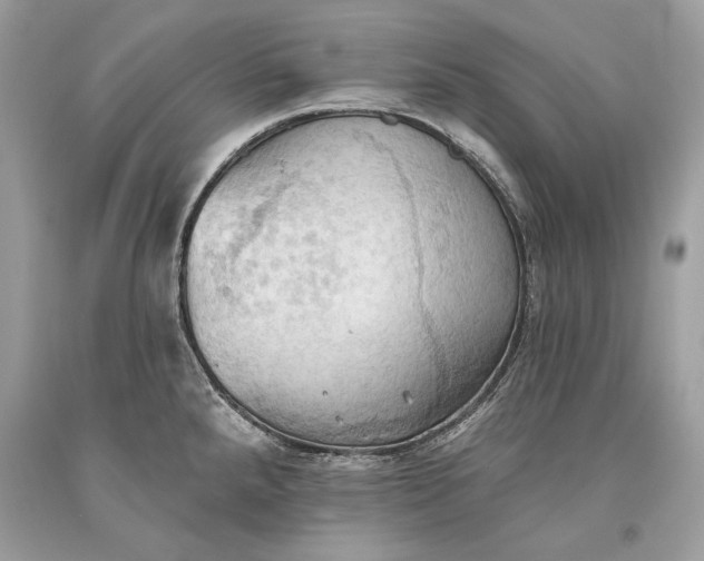 X0000093521288200710261211