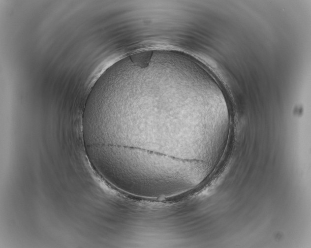 X0000093521289200710261211