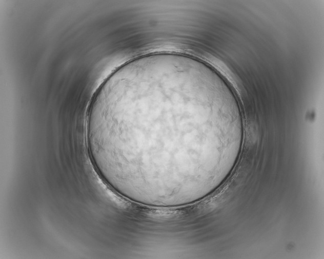 X0000093521290200710261211