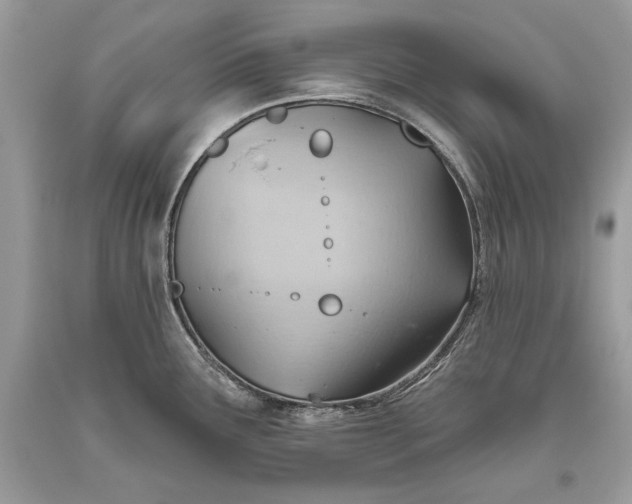 X0000093521291200710261211