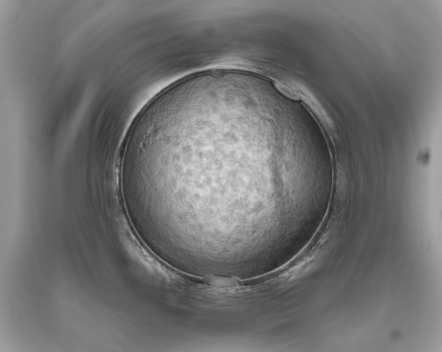 X0000093521292200710261211