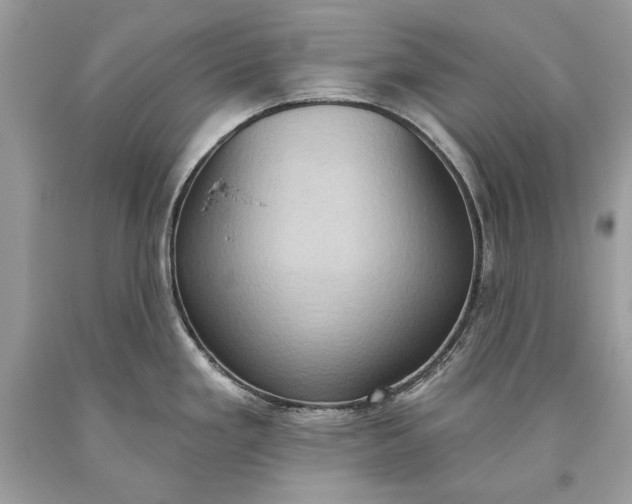 X0000093521293200710261211