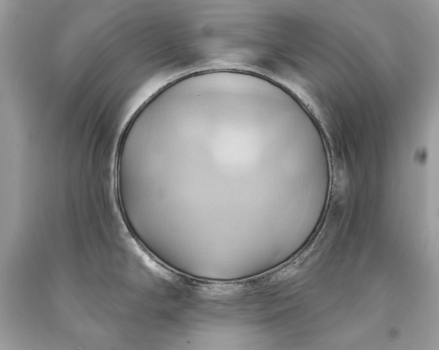 X0000093521294200710261211