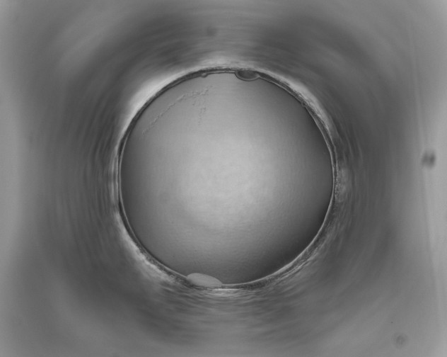 X0000093521295200710261211