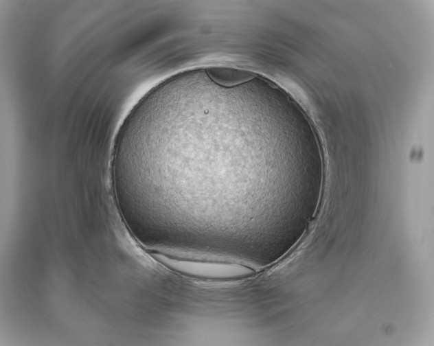 X0000093521296200710261211