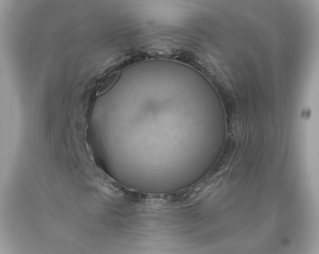 X0000093521297200710261210